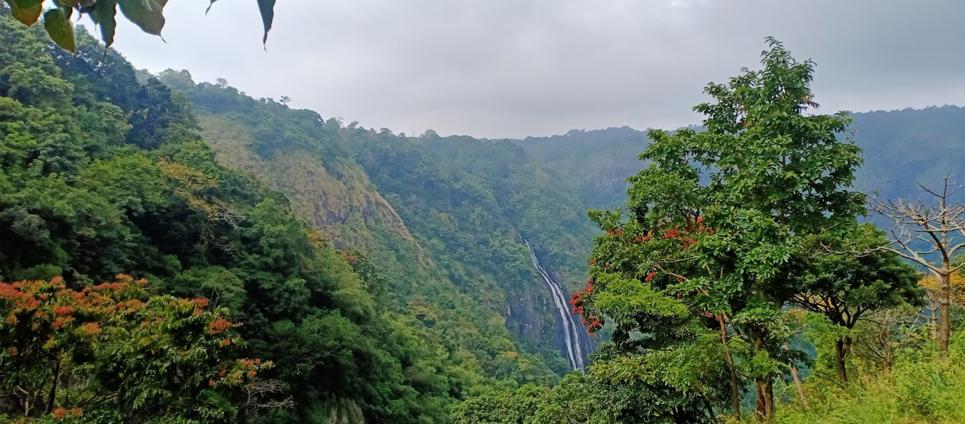 Kerala honeymoon package – Munnar and Alleppey tour from Kochi