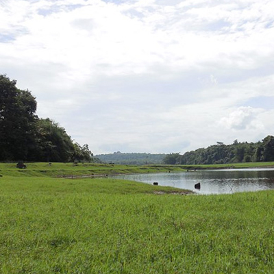 Thattekad bird sanctuary eco-tour – Kerala nature destination