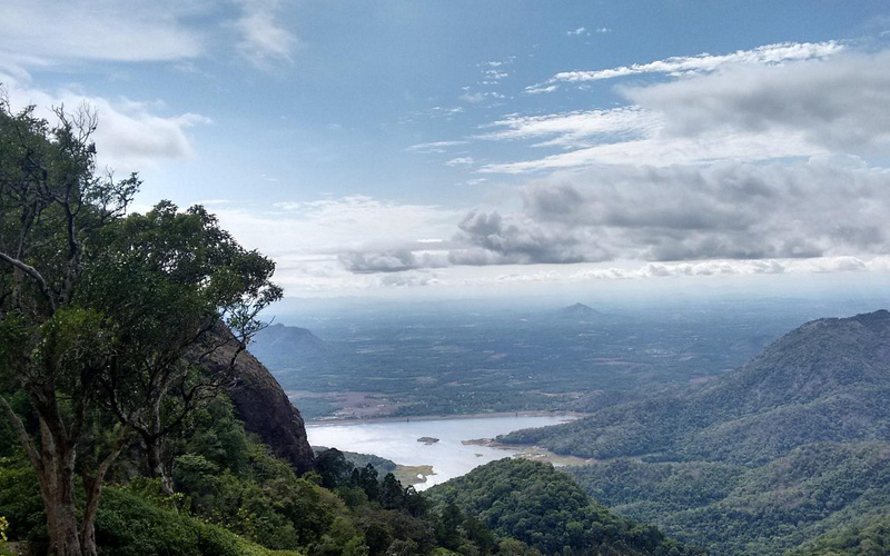 Nelliyampathy hill station Palakkad – tea coffee plantations Kerala tour